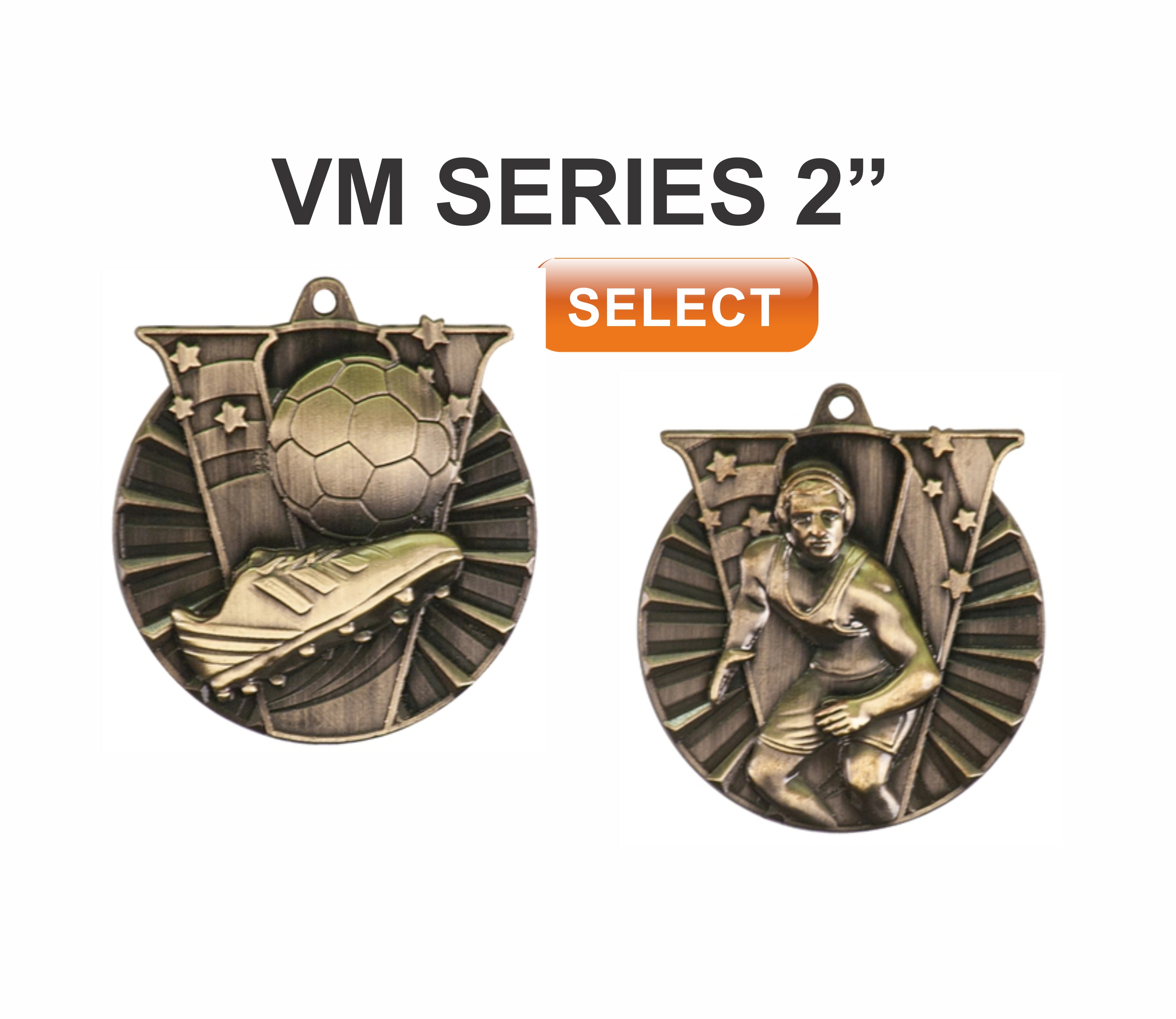 vm series awrd medals